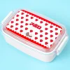 Apollo Strawberry Chocolate Antibacterial Bento Box
