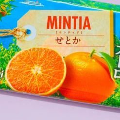 Asahi Mintia Mints - Setoka Orange