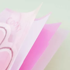 BT21 A4 File Folder - Cooky