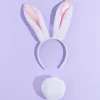 Bunny Ears & Tail Set - White
