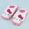 Hello Kitty Cleaning Room Shoes