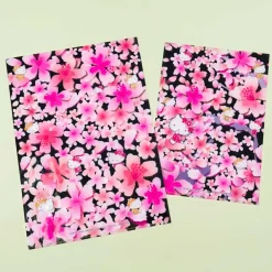 Hello Kitty Sakura Clear File Folder Set