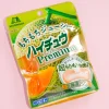 Hi-Chew Premium Chewy Candy Pack - Hokkaido Melon