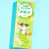 Hokkaido Caramel Candy - Melon