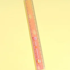 Kirby & Waddle Dee Ruler