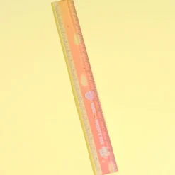 Kirby & Waddle Dee Ruler