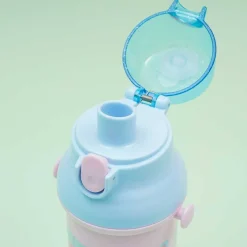 Little Twin Stars Kirakira Amusement Park Water Bottle