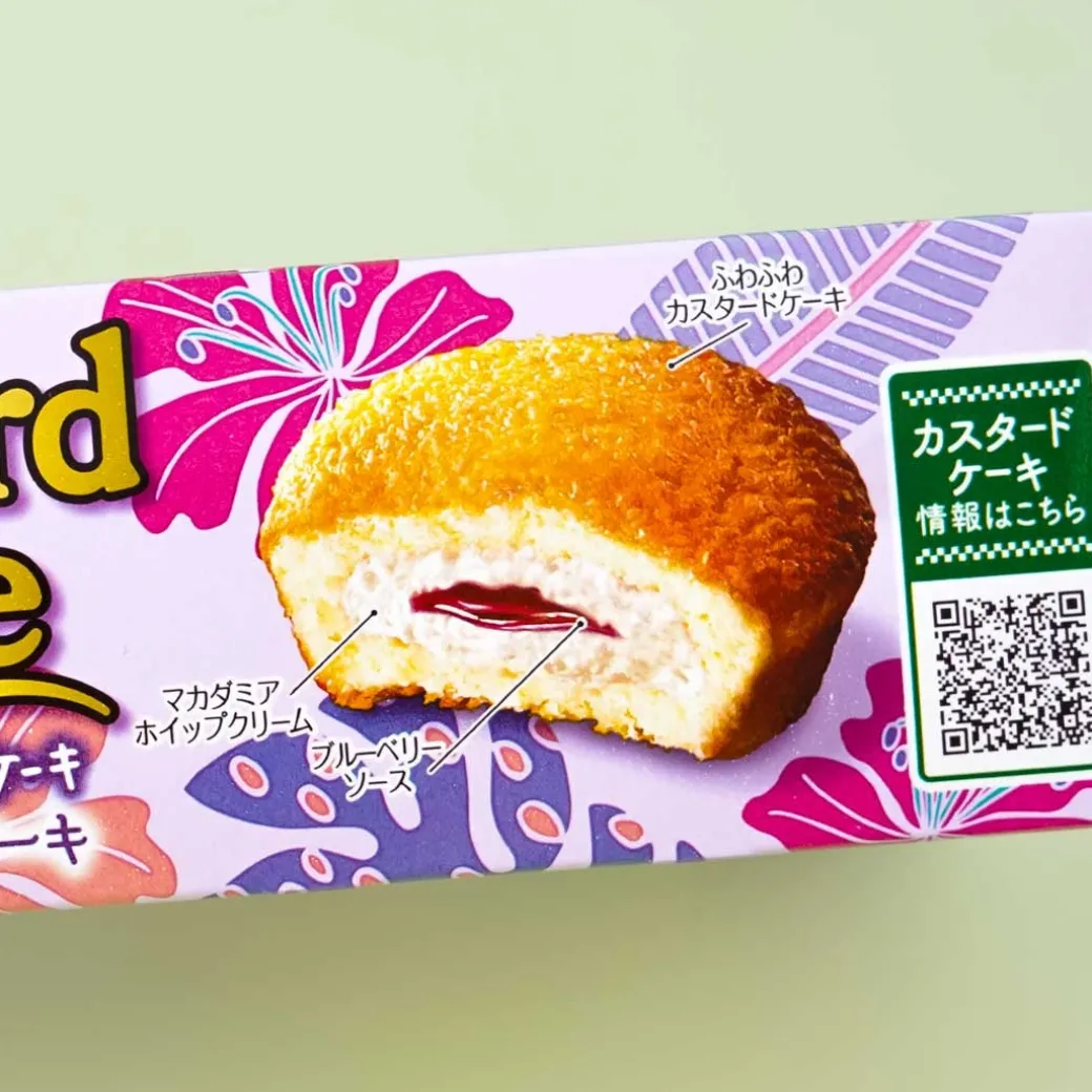Lotte Custard Cake - Blueberry Pancake