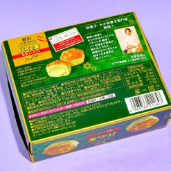 Lotte Pai no Mi Pastries - Matcha Tiramisu