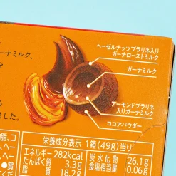 Lotte Premium Ghana Chocolate Truffles - Hazelnut & Almond Praline