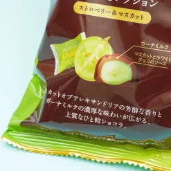 Lotte Premium Ghana Fruit Selection Chocolate - Muscat & Strawberry