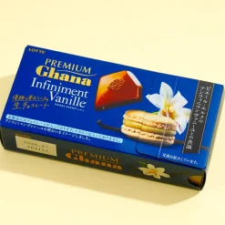 Lotte Premium Ghana Raw Infiniment Vanille Chocolate
