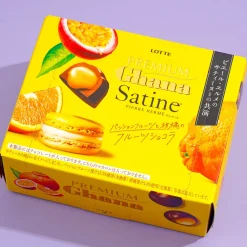 Lotte Premium Ghana Satine Fruit Chocolate