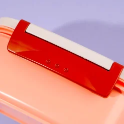 Mofusand Cat Swimming Party Bento Box