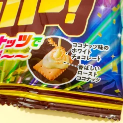 Nissin Coconut Sable Mini Biscuits - Coconut Fever!