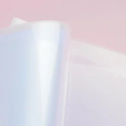 Obakenu Jelly Cat Clear Pocket Folder