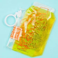 Pompompurin Clip Set With Case