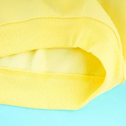 Pompompurin Sweatshirt