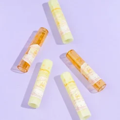 Pompompurin Teacup Pencil Cap Set