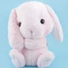 Pote Usa Loppy Plushie - Mimi Pyon / Big