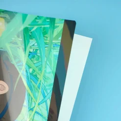 Princess Mononoke A4 File Folder - Ashitaka & San