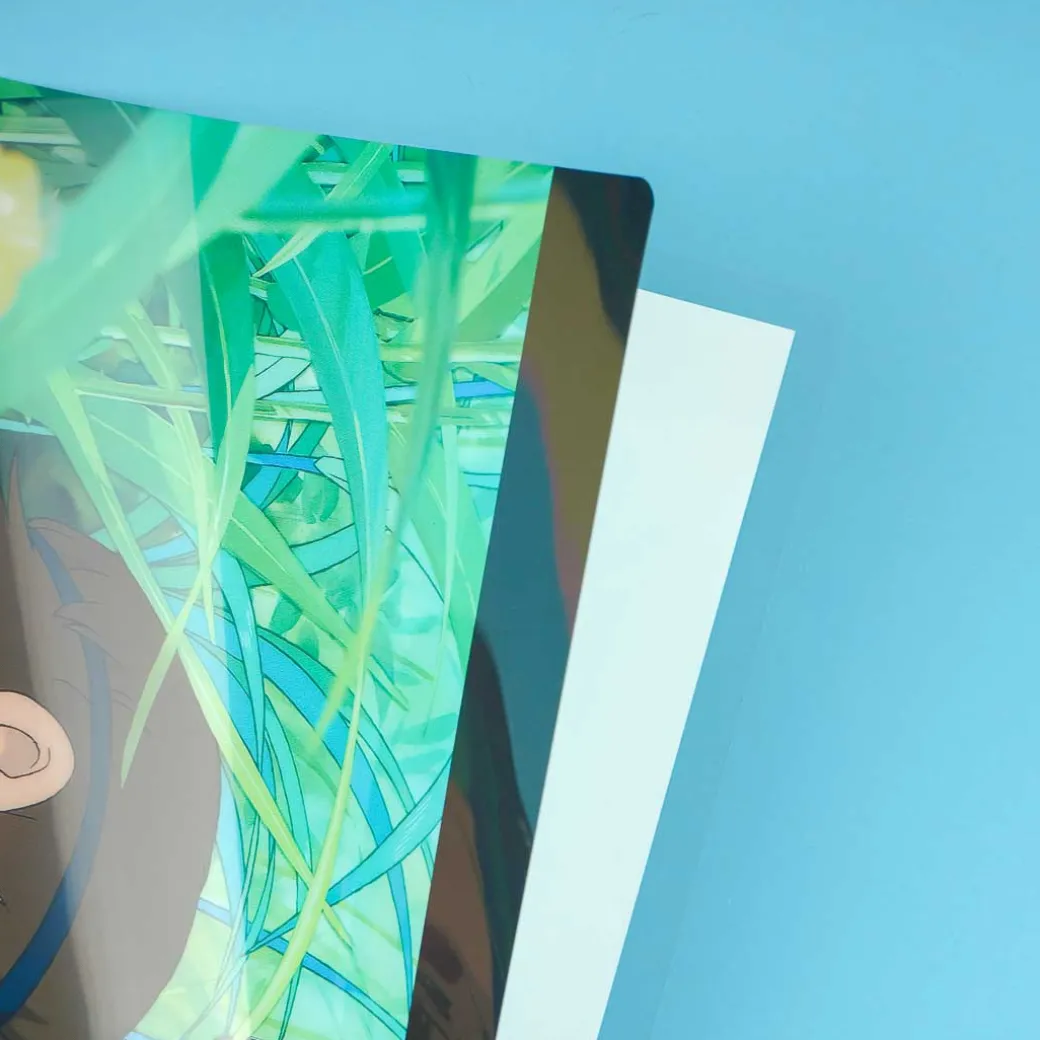 Princess Mononoke A4 File Folder - Ashitaka & San