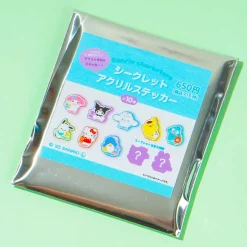 Sanrio Characters Little Friend Acrylic Sticker