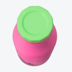 Starbucks Japan Holiday Neon Star Stainless Steel Bottle