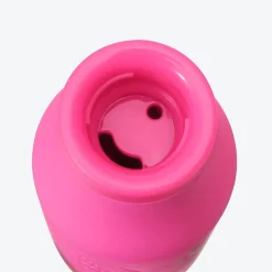 Starbucks Japan Holiday Neon Star Stainless Steel Bottle