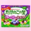 Takenoko No Sato Biscuits - Blueberry & Chocolate